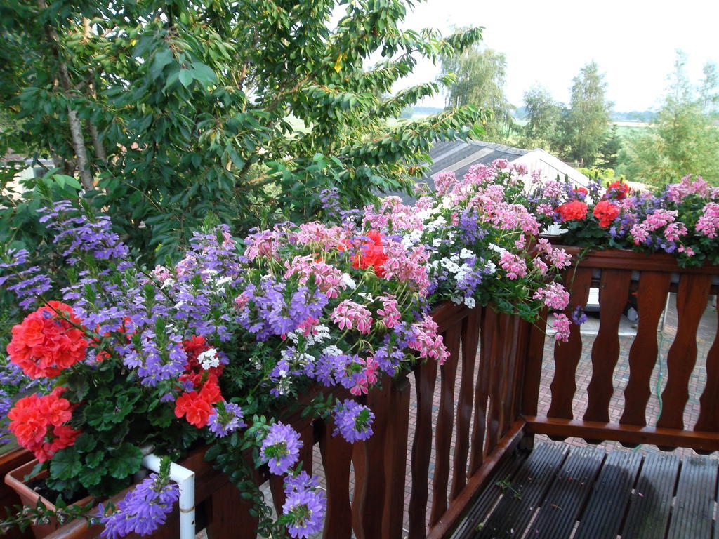 Hof Van Lutten Bed & Breakfast Exterior photo